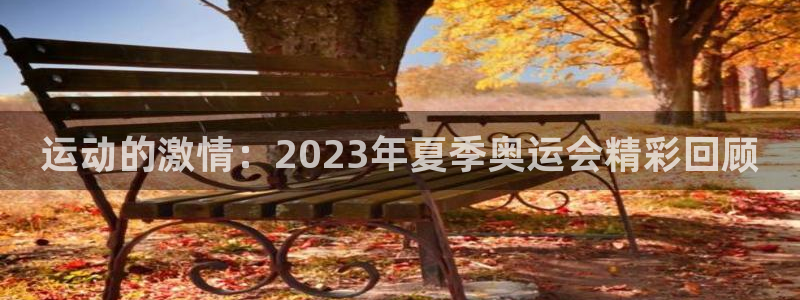J9官网下载平台注册要钱吗:运动的激情:2023年夏季奥运会